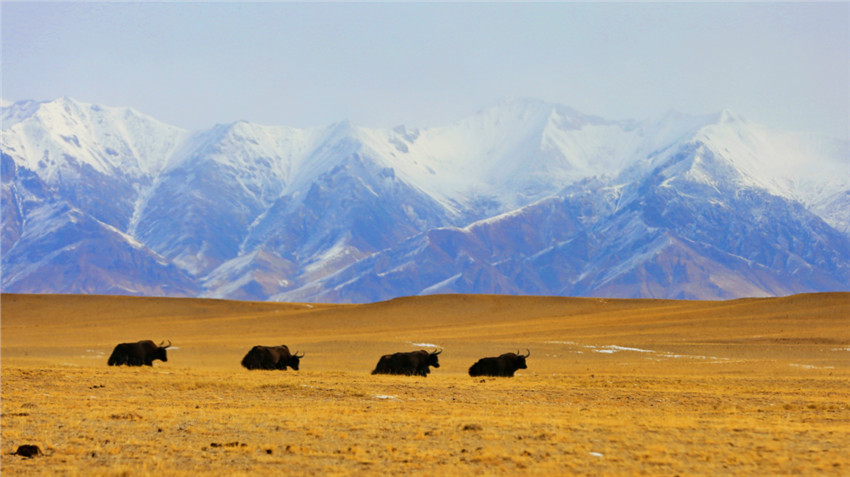 ??? ?? ?? ?? ??? ??. [?? ??: ???]