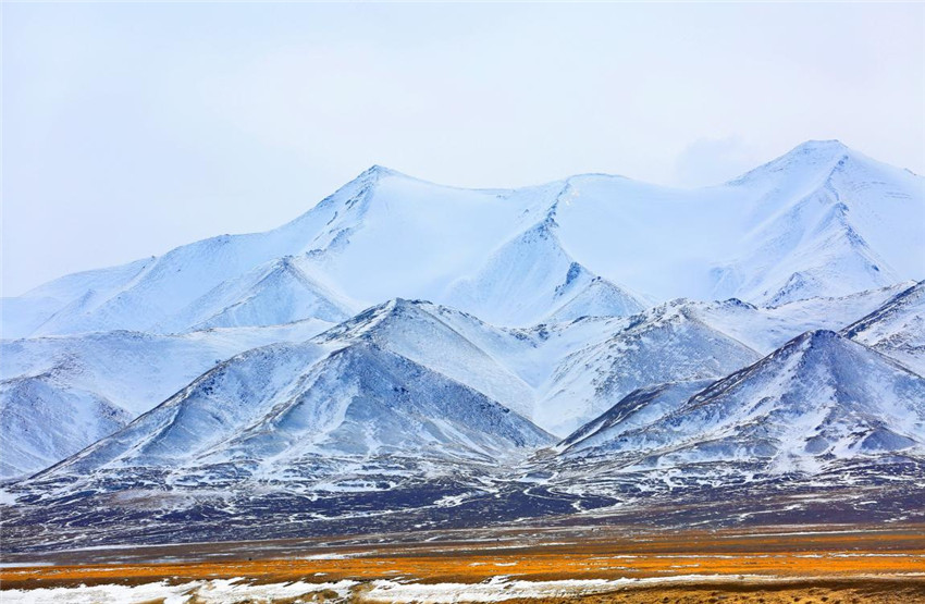 ?? ?? ??? ???? [?? ??: ???]