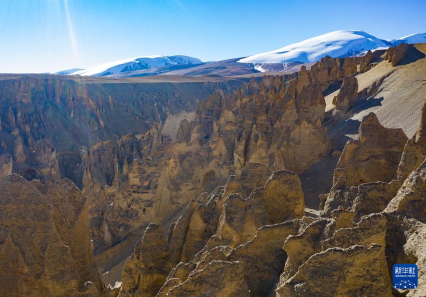 [11? 24? ?? ??/?? ??: ???]