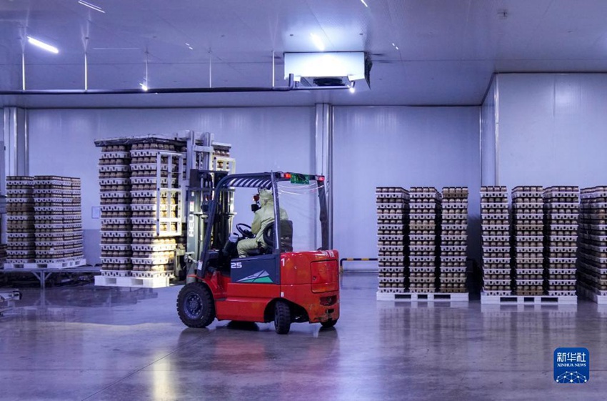 ??? ???? ???? ????? ????. [12? 15? ??/?? ??: ???]