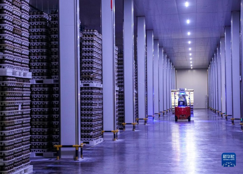 ??? ???? ???? ????? ??? ??? ?? ????. [12? 15? ??/?? ??: ???]