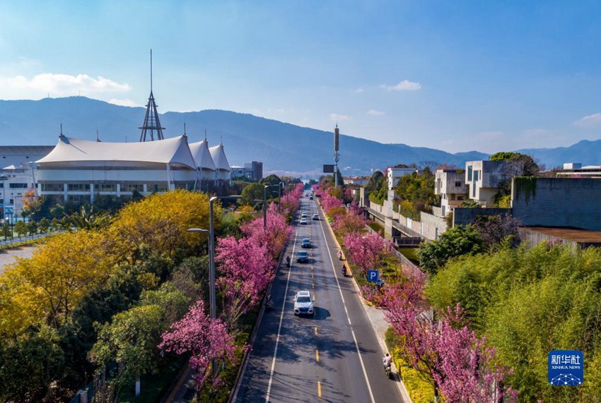 ??? ???(紅塔西)?? ???? ???? [12? 21? ?? ??/?? ??: ???]