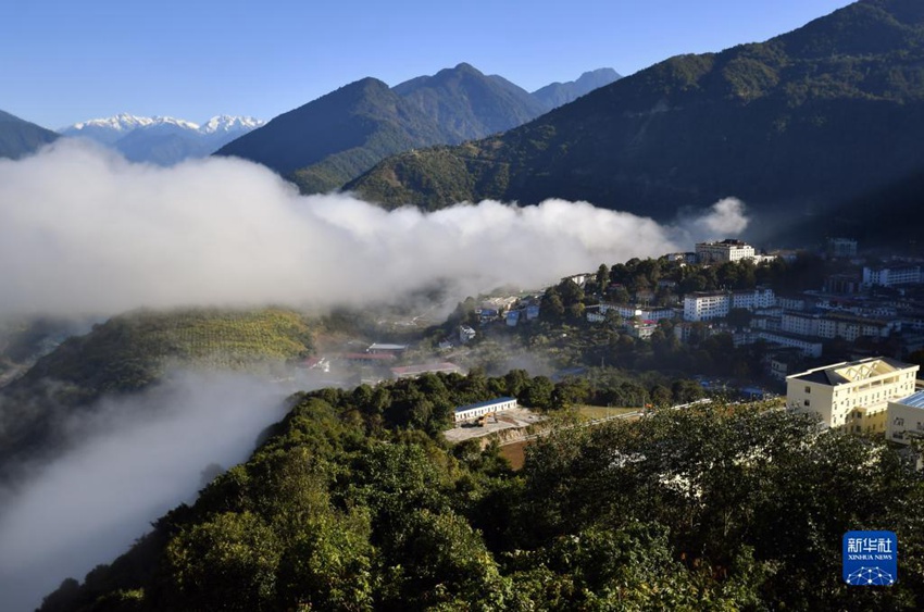 ??? ?? ?? [12? 21? ??/?? ??: ???]