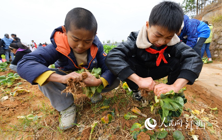 ???? ??? ?? ??. [?? ??: ???] 