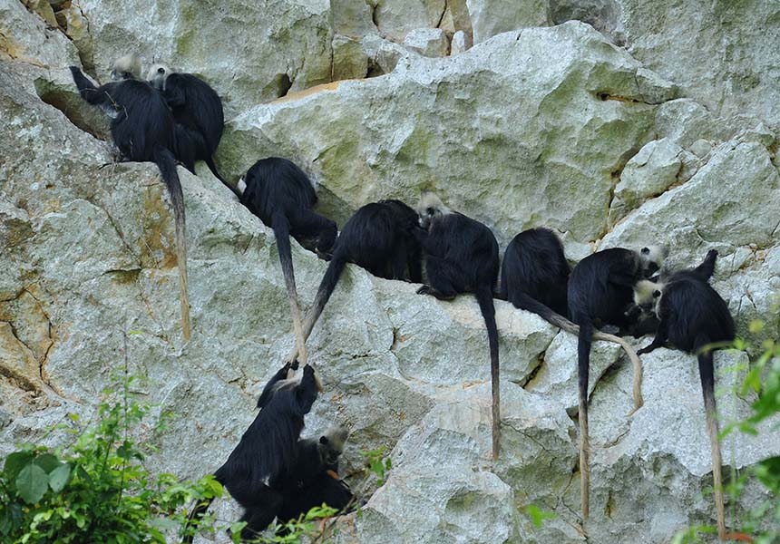 ??????? ??? ??? ?? ??. [?? ??: ???]