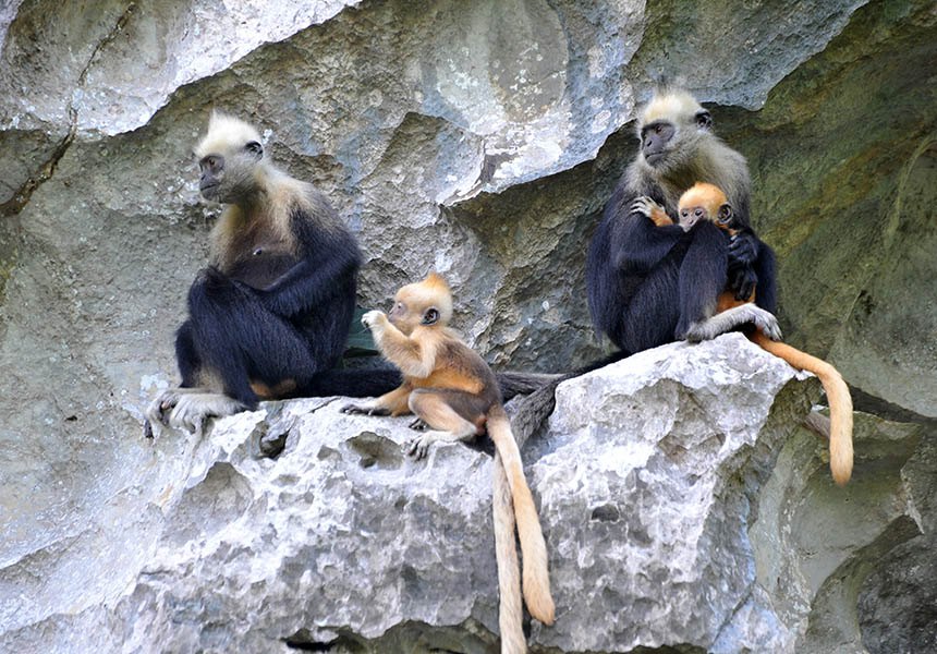 ??????? ???? ?? ??. [?? ??: ???]