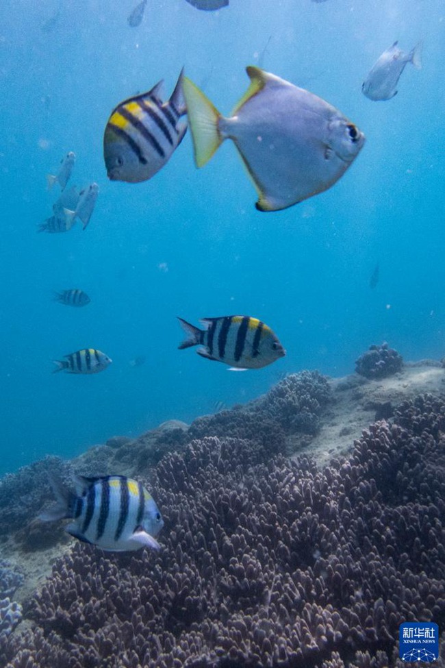 ????? ??? ??? ?? [2? 12? ??/?? ??: ???]