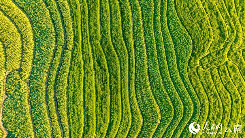 ??? ????? ??? [?? ??: ??]