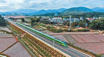 ??? ??(雲南) ????(西雙版納)??(傣族)??? ??(景洪)?? ???? ??-??? ??? ???? ??. [?? ??: ???]