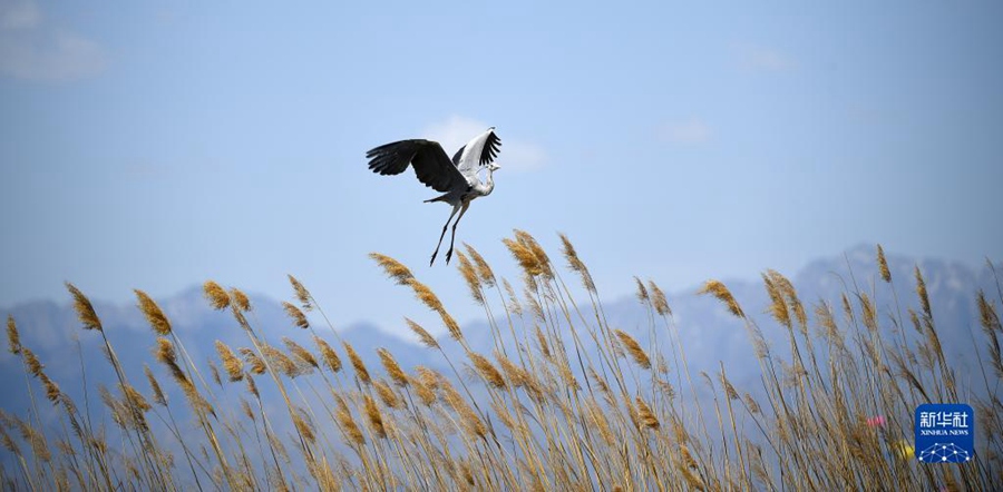 ??? ???? ??? ??? ???? ??. [4? 30? ??/?? ??: ???]