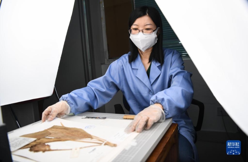 ??? ?? ?? ??? ???? ??. [7? 4? ??/?? ??: ???]