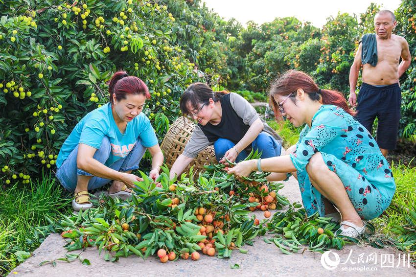 ??(荔江)? ???(柿子田)? ?? ?? ???? ???? ? ? ??? ??? 2? ?? ?? ??. [?? ??: ???]