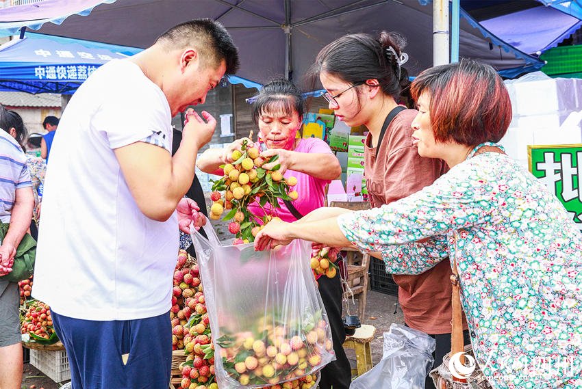 ???? ??? ???? ??. [?? ??: ???]