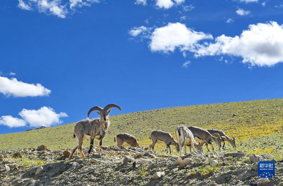 [8? 2? ??/?? ??: ???]