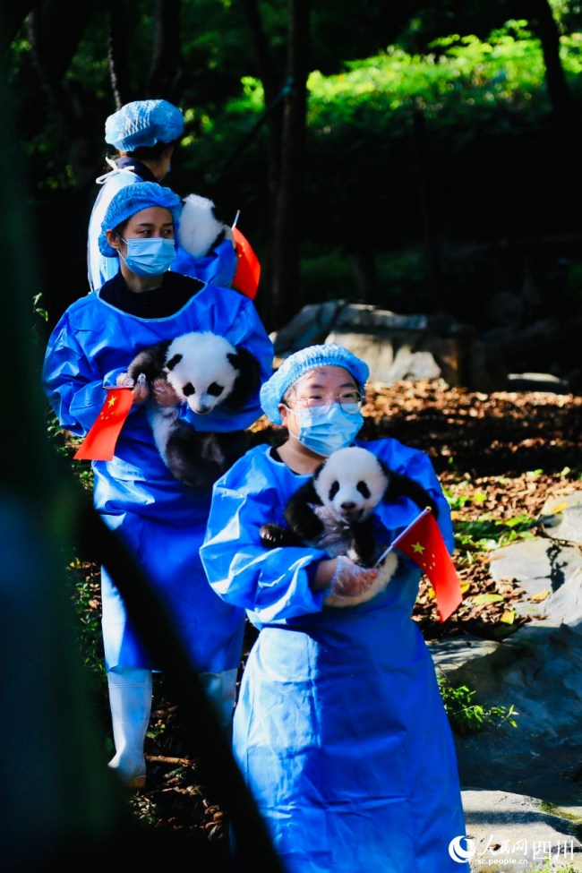 ?? ??? ?? ???? ??? ????. [?? ??: ???]