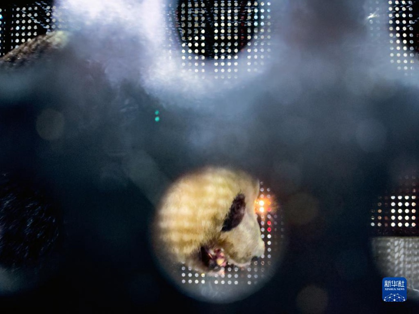 ?? ??????? ???? ??? ?????? ?? [2? 21? ??/?? ??: ???]