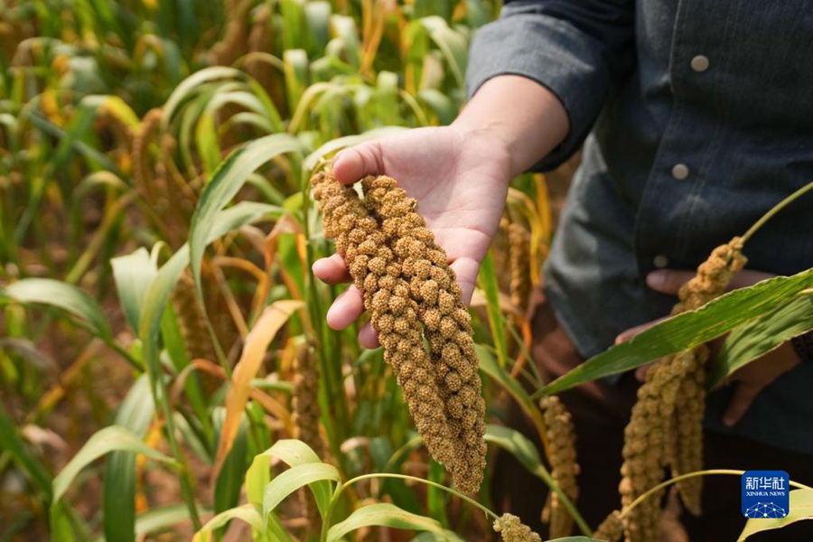 ??? ?? ?? ? ???? ???? ??. [2022? 9? 28? ??/?? ??: ???]