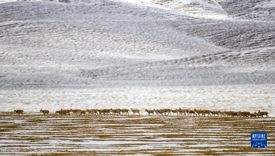 ??? ? [4? 17? ??/?? ??: ???]