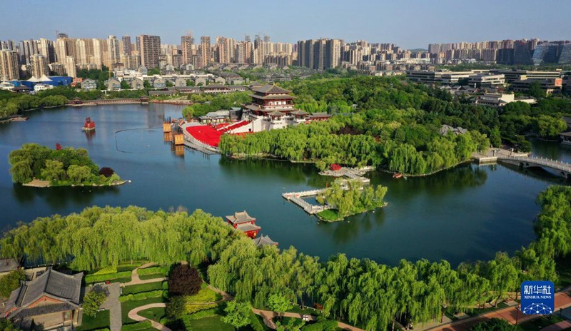 ?? ??????(大唐芙蓉園, ?????) [4? 25? ???? ??/?? ??:???]