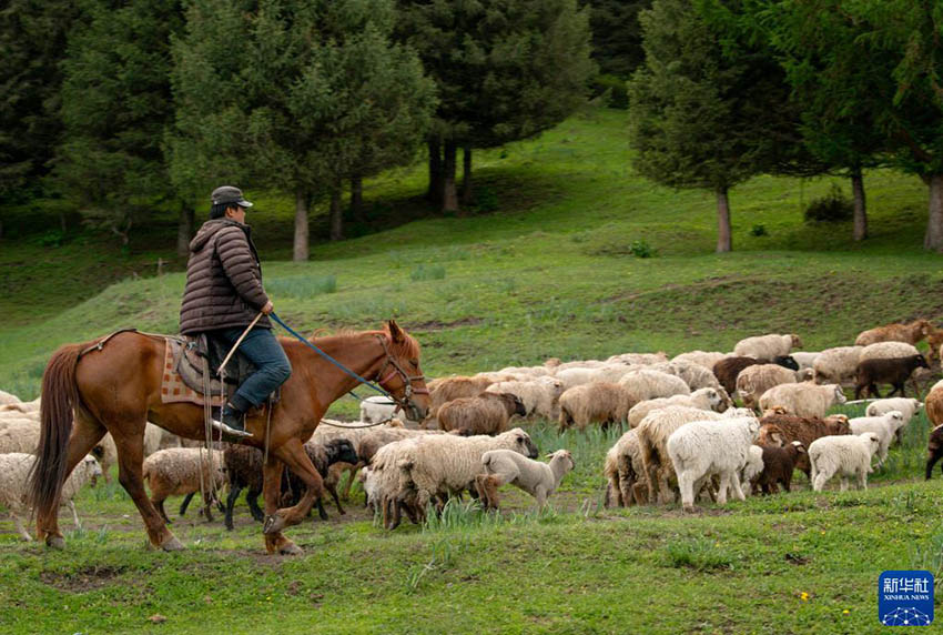 ??????? ???? ???? ??. [5? 20? ??/?? ??: ???]