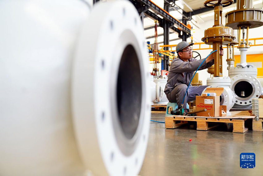 ???? ???????(??)?????? ??? ?? ?????? ????. [5? 11? ??/?? ??: ???]