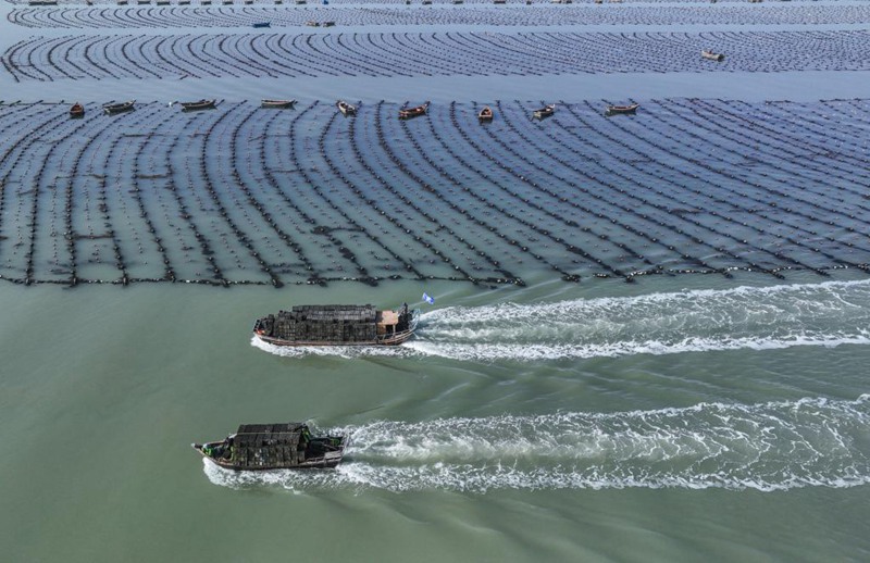 4? 16? ??(山東)? ??(榮成)? ????(愛(ài)倫灣) ???? ?? ?? ?? ?? ??? ???? ?????. [?? ??: ???]