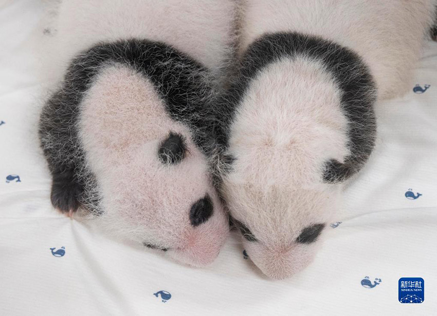 8? 6? ?? ??? ?? ?????? ??? ??? ?? ?????? [?? ??: ????]