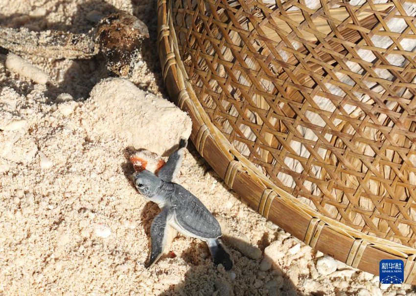 ? ??? ??? ?? ???? [9? 29? ??/?? ??: ???]