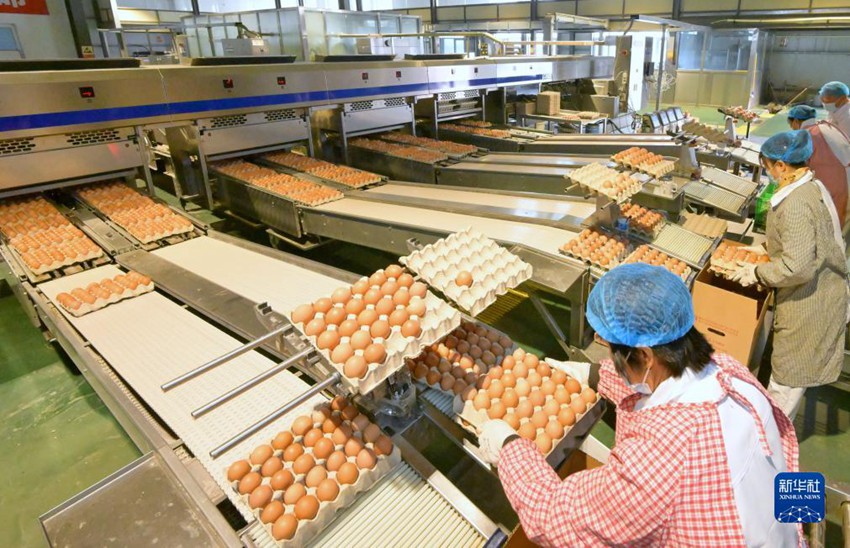 ???? ??? ???? ????? ??? ????. [11? 22? ??/?? ??: ???]