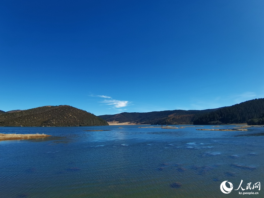 ???? ???? ? ‘????’? ??? ???