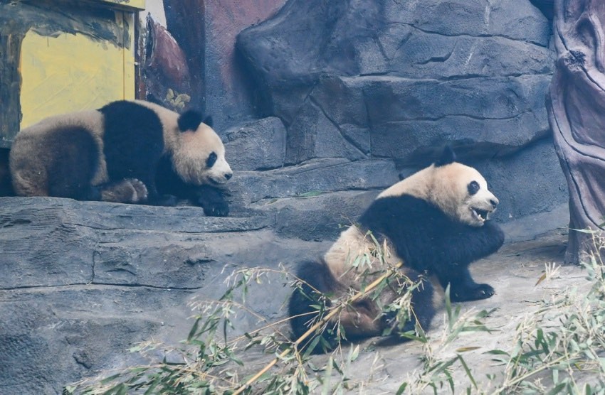 ?? ?? ???? ?? ???? ????? ??? ??? ?????? ‘??’(??)? ‘??’ [1? 3? ??/?? ??: ???]