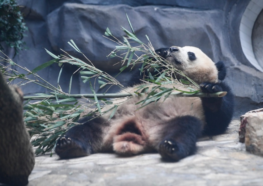 ?????? ‘??’? ???? ?? ??. [1? 3? ??/?? ??: ???]