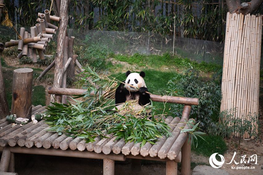 3? 3?, ???? ‘???’? ??? ?? ?? ??