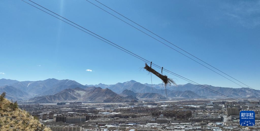 3? 12?, ???? ????(??)? ?? ??? ???? ??. [???? ??]