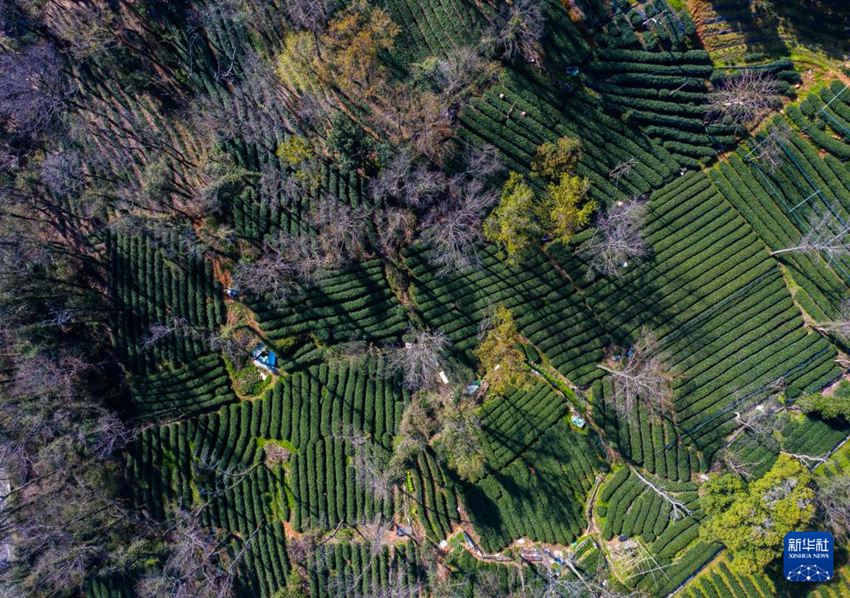 ?????? ?? ?? ?? [3? 20? ?? ??/?? ??: ???]