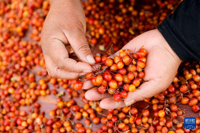 ?? ‘??’ ?? ??, ?? ???? ??