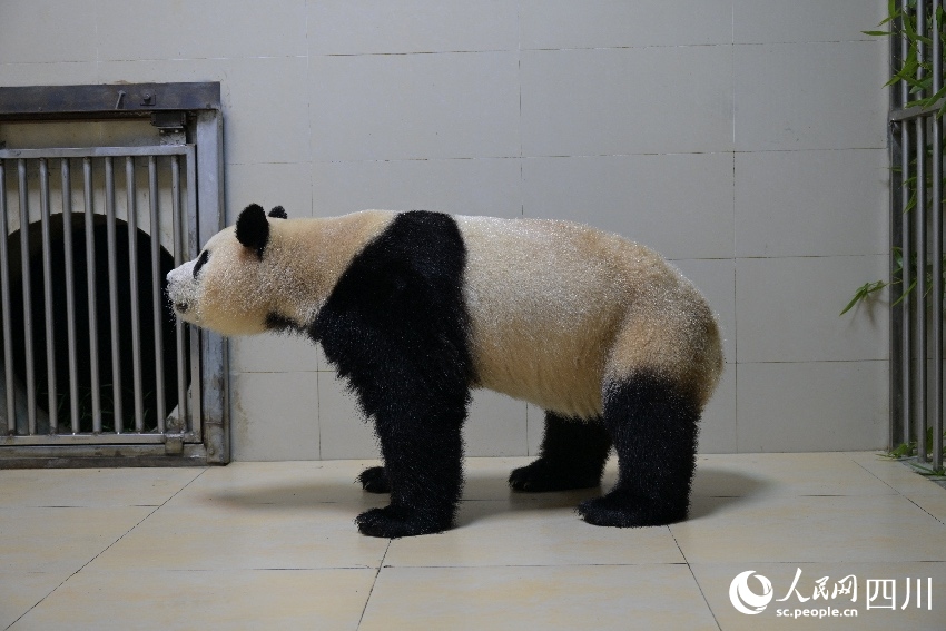 ?????? ‘???’? ? ?? ????.