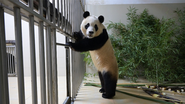 4? 4?, ???? ??? ??? ????