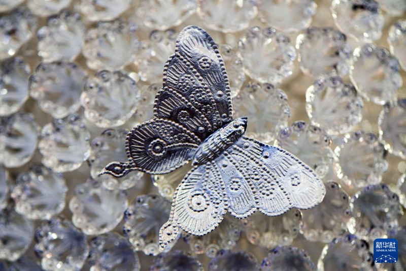 4? 8?, ????? ??? ??? ??? ???? ?? ? ???