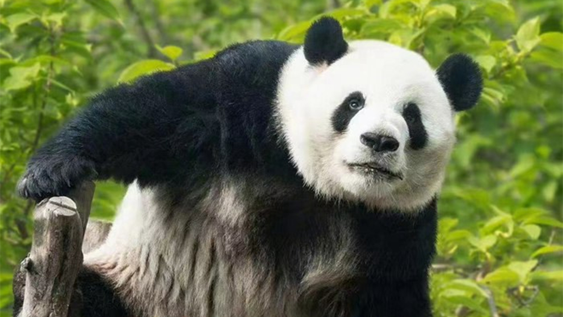 ??? ?? ?? ??, ?? ???!