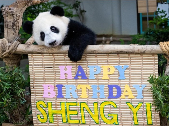 ?????? ??? ?????? ‘??’ ?? ??