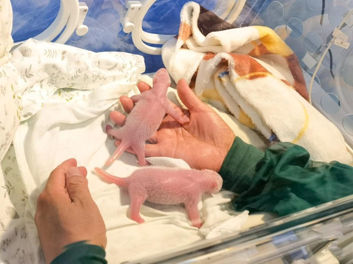 ????? ???? ?????? ? ??? ?? ??