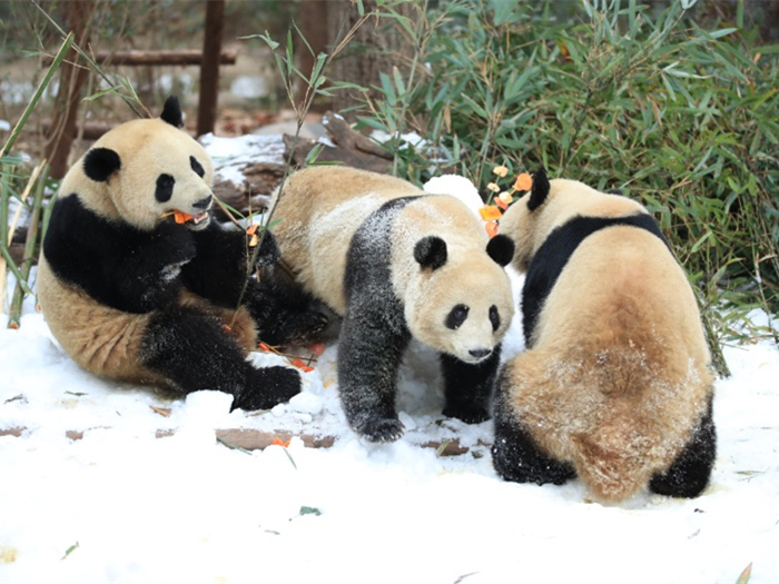 ?? ??, ???? ?? ??? ??????