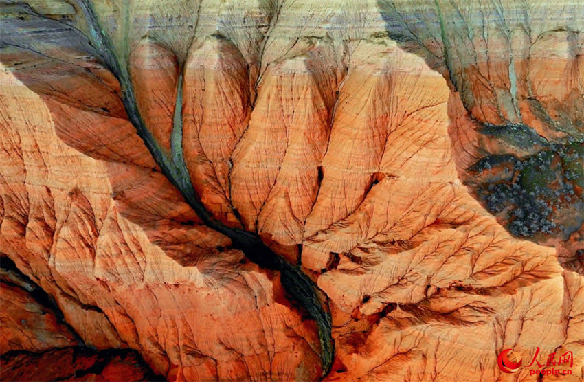 ?? S101 ?? ??(雅丹)?? ?? [?? ??: ???]