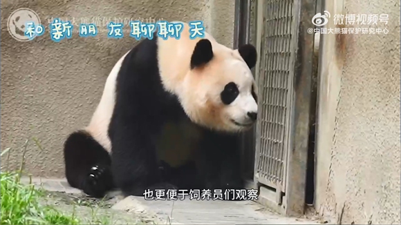 ‘???’? ?? ??????? ???? ??.