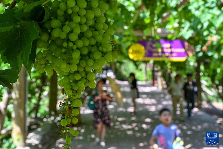 ????? ????? ????? ???? ????. [6? 29? ??/?? ??: ???]