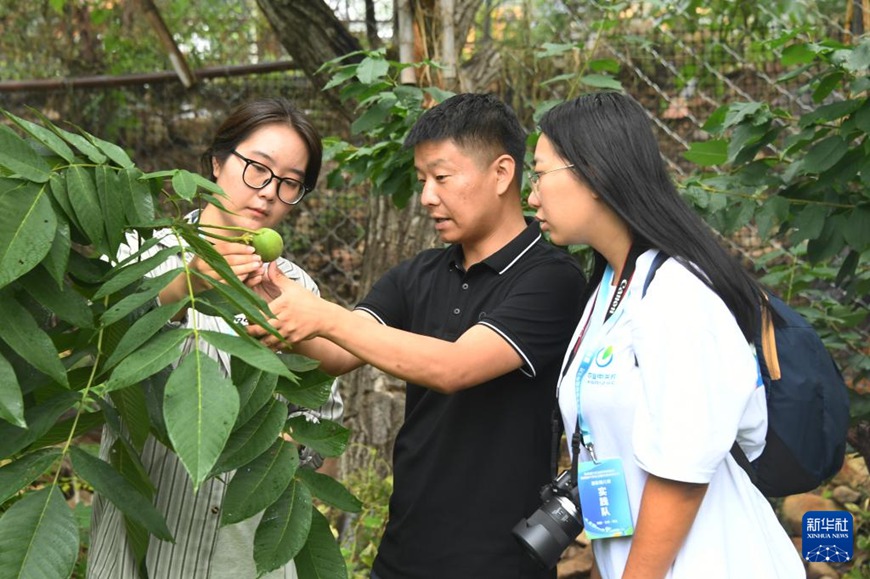 ??? ????(熊兒寨)?? ??????? ????(傳媒)?? ???? ?? ??? ?? ?? ??? ?????. [7? 12? ??/?? ??: ???]