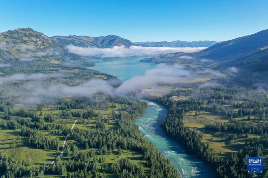 ??? ??? ?? [7? 23? ?? ??/?? ??: ???]