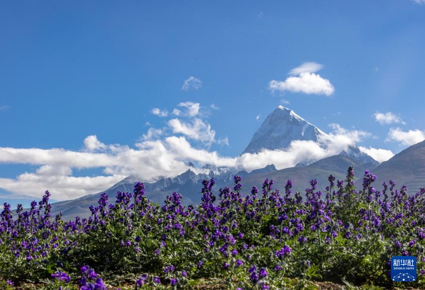 ?????? ??? ?????? [8? 1? ??/?? ??: ???]