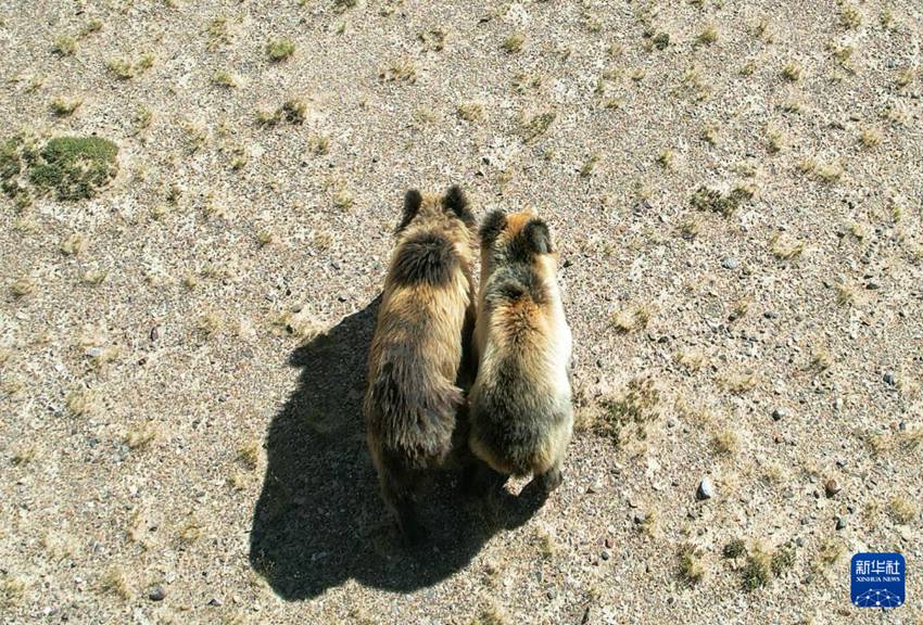 ?? ??? ????? ?????? ?? ??? ????? ????. [8? 30? ?? ??/?? ??: ???]